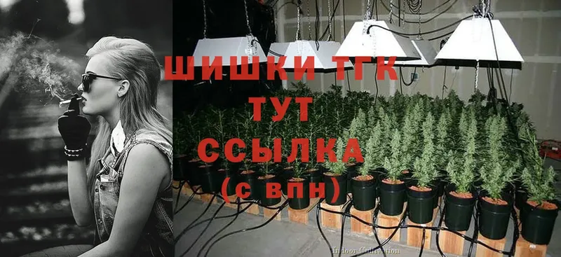 Каннабис LSD WEED  гидра ссылки  Богородицк  наркота 